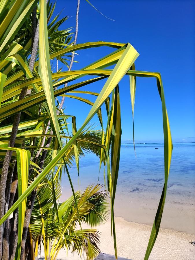 Moorea Beach Lodge 외부 사진